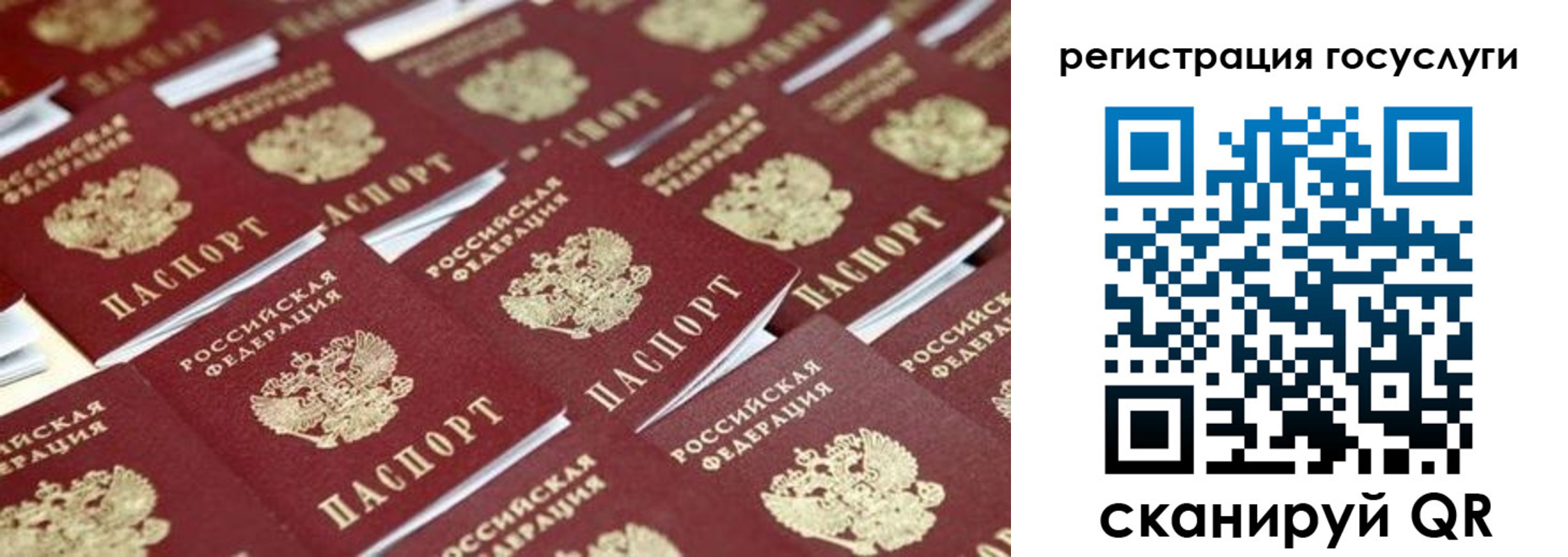 прописка ребенка в Гатчине